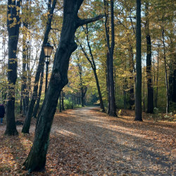 park psczyna