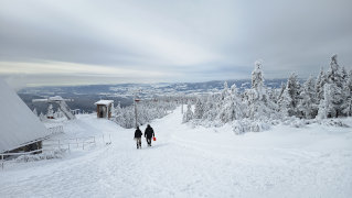 ramzova