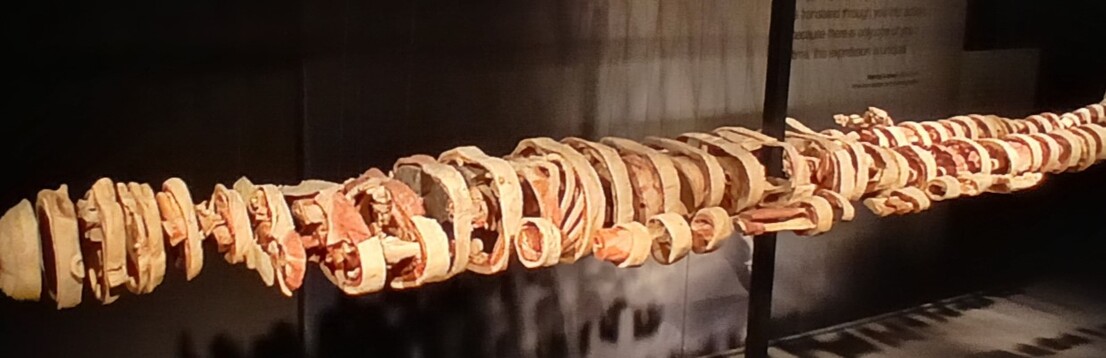 bodyworld- hlavička