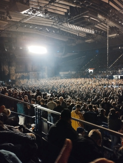 koncert