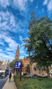 Odense
