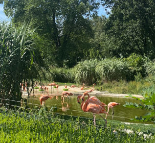 Zoo