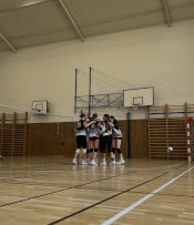 Volejbal